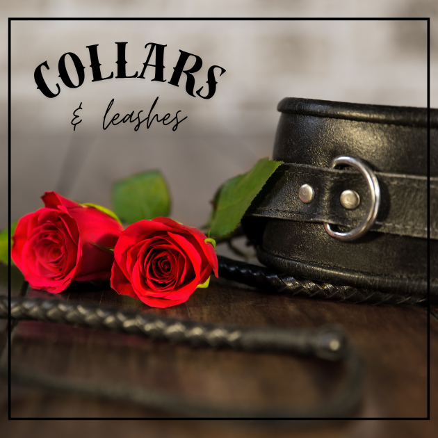 Collars & Leashes