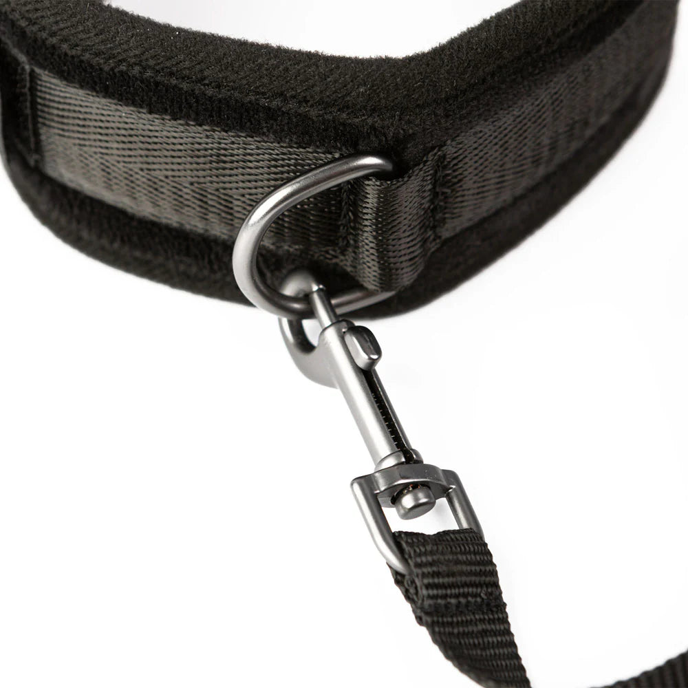 SEI MIO Take the Lead Padded Collar/Leash