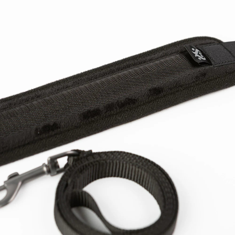 SEI MIO Take the Lead Padded Collar/Leash