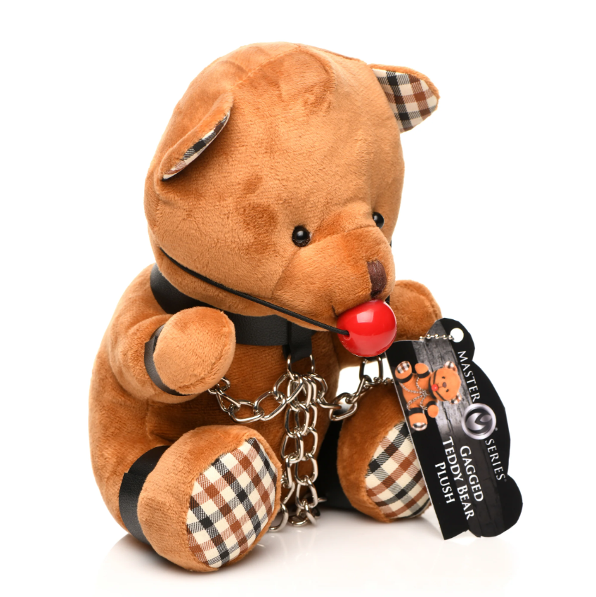 Gagged Bondage Teddy Bear