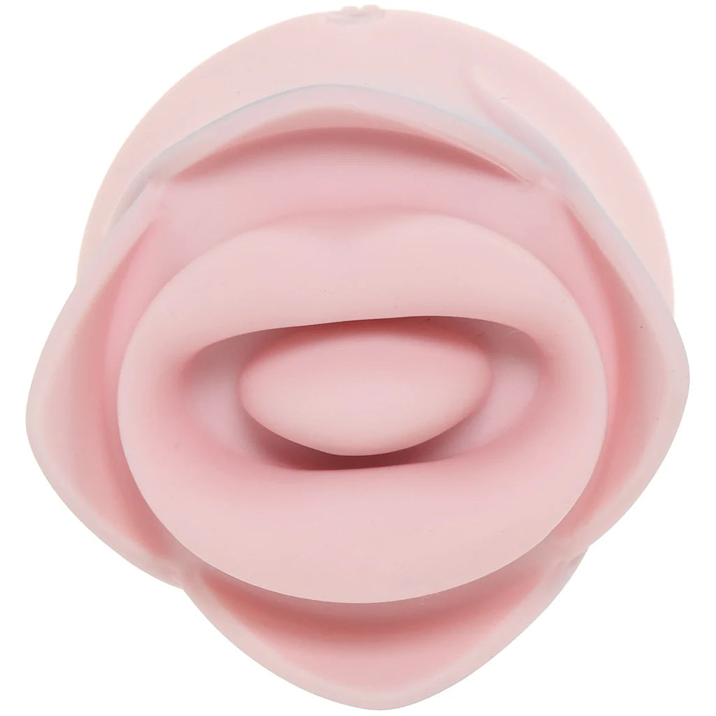 Blush Kissing Rose Vibe