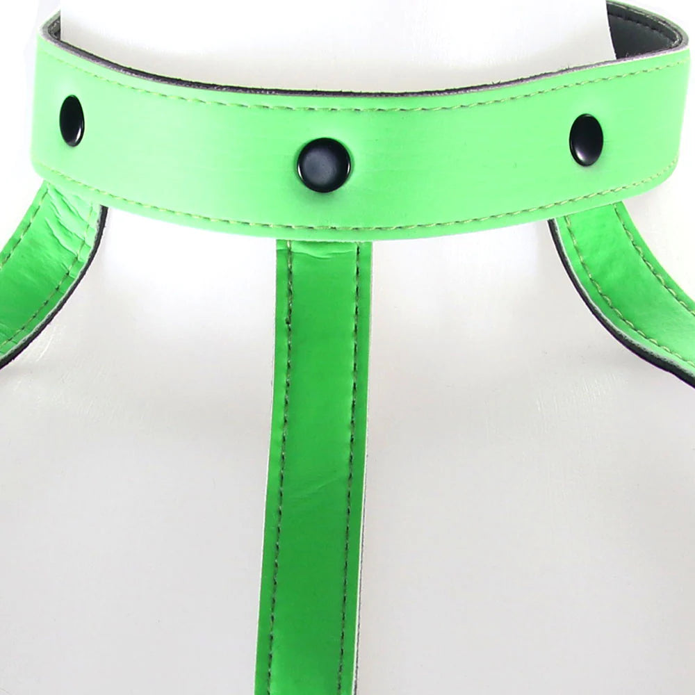 Glow in the Dark Bra Harness